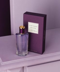 Modestmove.shopdb65bc4e1a 2